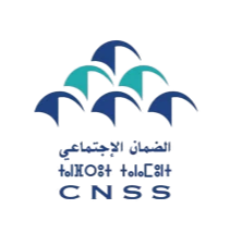 cnss -v2